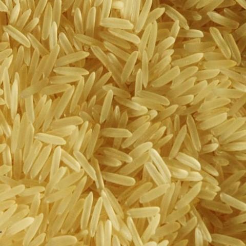 Organic Golden Basmati Rice, For High In Protein, Variety : Short Grain, Medium Grain, Long Grain