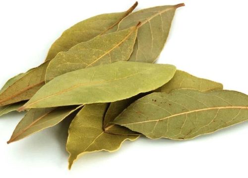 Dried Bay Leaves, Cultivation Type : Natural