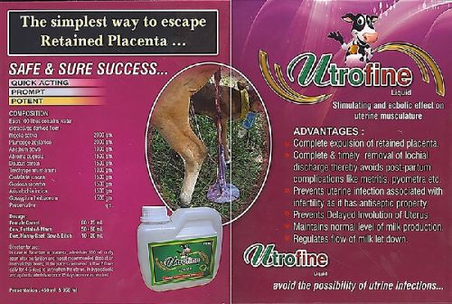 Natural Utrofine Cattle Feed, Packaging Type : Box