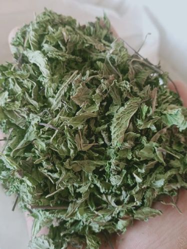 Mint Leaf, For Cooking, Packaging Type : PP Bag