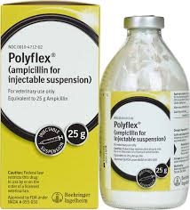 Polyflex Injection, Packaging Size : 1ml