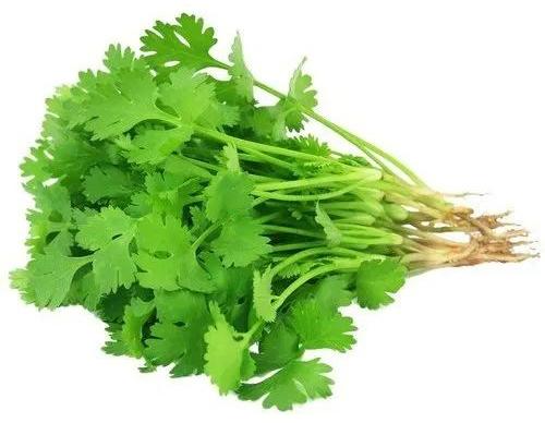 Fresh Coriander Leaves, For Cooking