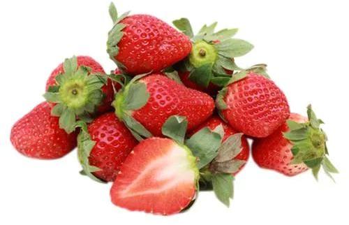 Fresh Strawberry, Packaging Type : Net Bag, Plastic Bag