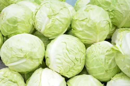 Natural Fresh Cabbage, For Cooking, Feature : Eco-Friendly, Healthy