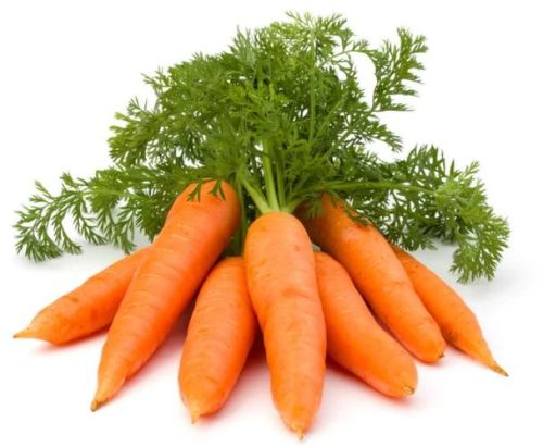 Natural Ooty Carrot, For Food, Juice, Pickle, Snacks, Taste : Crispiness, Delicious, Sweet