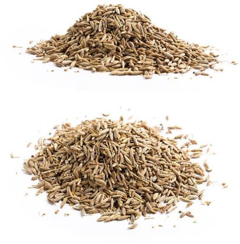 Blended Organic Premium Indian Cumin Seeds, For Cooking, Certification : FSSAI Certified