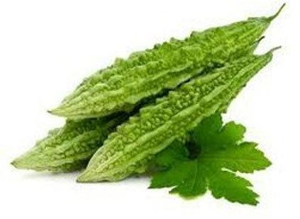 Fresh Bitter Gourd, Shelf Life : 10 Days