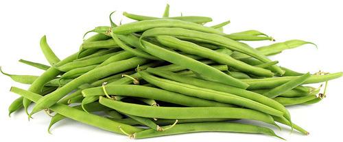 Natural Fresh French Beans, For Human Consumption, Packaging Type : Jute Bag, Plastic Bag