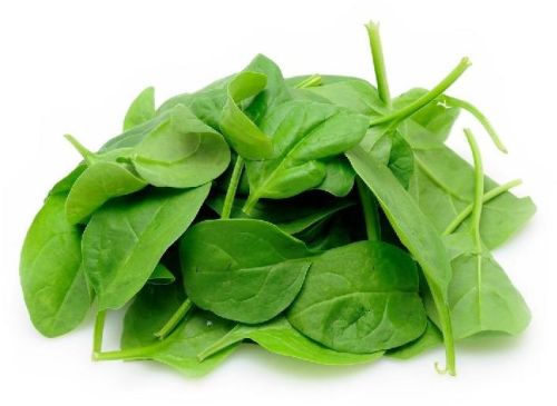 Natural Fresh Spinach Leaves, For Human Consumption, Packaging Type : Jute Bag