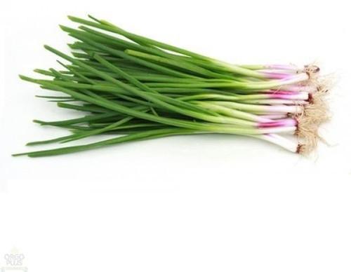 Natural Fresh Spring Onion, For Human Consumption, Packaging Size : 20kg, 25kg