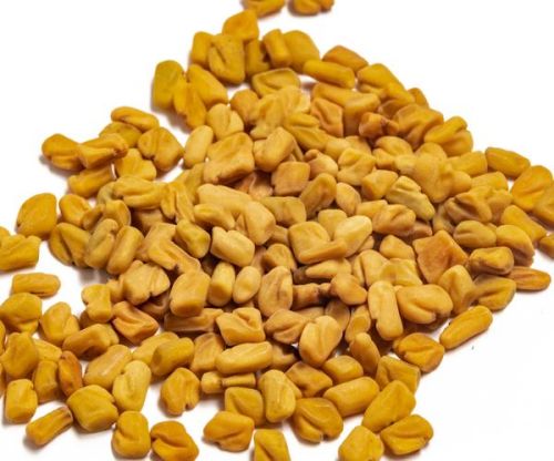 Natural Fenugreek Seeds, Packaging Size : 50gm, 100gm, 200gm, 250gm