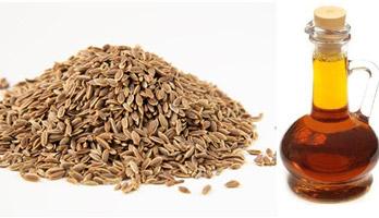 Cumin Oleoresin, Shelf Life : 6 Months