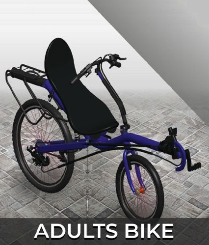 30-40kg Adult Bike, Color : Black