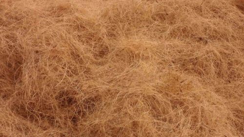 Coir Fibre