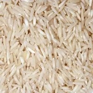 1509 Non Basmati Rice, Purity : 99%, Moisture : 15%