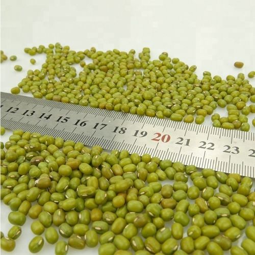 Blended Organic Mung Beans, Packaging Type : Green, Form : Round