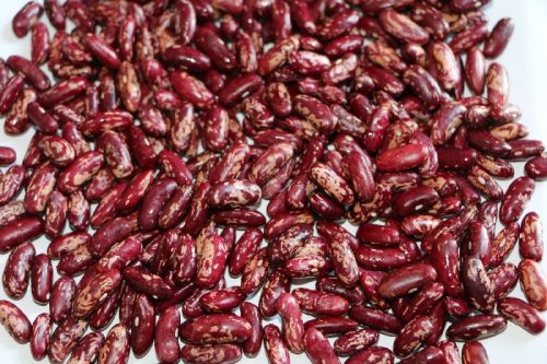 Oval Common Red Speckled Kidney Beans, For Cooking, Feature : Best Quality, Full Of Proteins