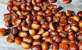 Common Natrual Chestnuts, For Cooking, Taste : Sweet