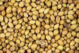 Aachi Raw Coriander Seeds, For Spices, Specialities : Fresh, Good Quality