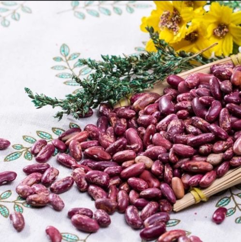 Oval Common Red Kidney Bean, For Cooking, Feature : Best Quality, Full Of Proteins
