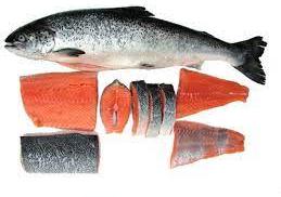 Salmon Fish, For Cooking, Food, Human Consumption, Feature : Eco-Friendly, Good Protein, Non Harmful