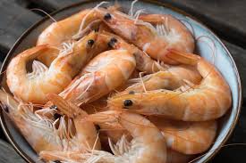 Organic Shrimps, For Cattle, Chicken, Fish Feeding, Feature : Good Quality, Natural