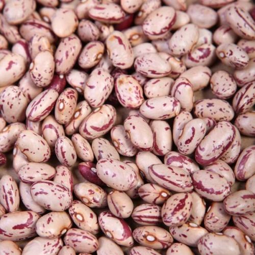 Granules Common Speckled Kidney Bean, For Cooking, Feature : Best Quality, Full Of Proteins