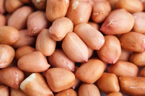 Raw Natural J-71 Peanut Kernels, For Butter, Cooking Use, Making Oil, Feature : Non Harmful