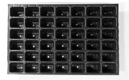 HIPS Seedling Tray