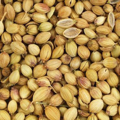 Natural Coriander Seeds, Grade Standard : Food Grade