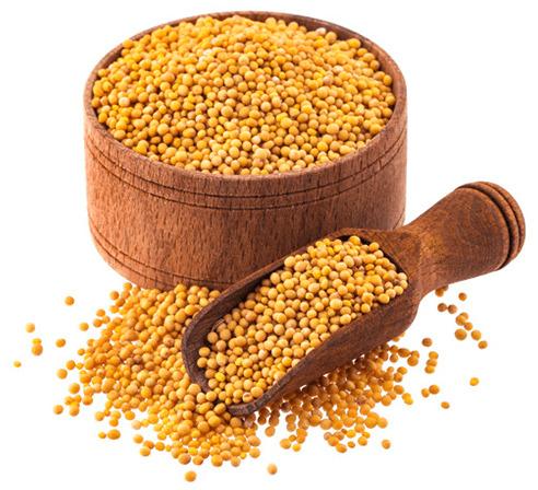 Natural Mustard Seeds, Color : Yellow