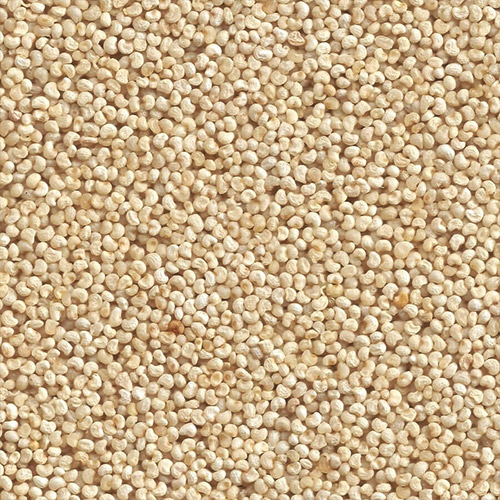 Natural Poppy Seeds, Shelf Life : 2-4yrs