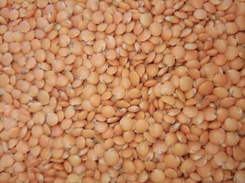 Natural Red Masoor Dal, For Cooking, Feature : Healthy To Eat, Highly Hygienic, Nutritious, Purity