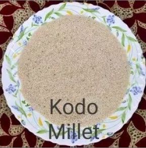 Organic Kodo Millets, Style : Dried