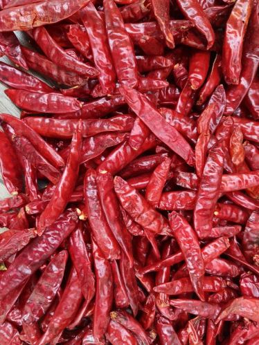 334 Dried Red Chilli Without Stem, Specialities : Good For Health, Good Quality, Rich In Taste