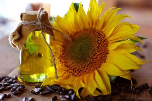 High linoleic sunflower oil, Packaging Size : 5L