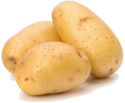 Natural Fresh Potato, For Home, Hotels, Packaging Size : 10kg, 25kg