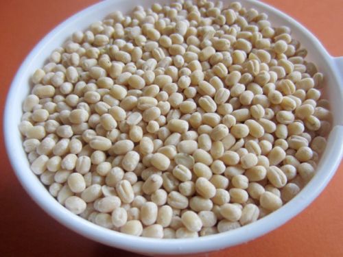 Organic Skinless Urad Dal, Style : Dried