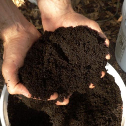 Organic Neem Vermicompost, Brand Name : Greenbelt, Purity : 100%