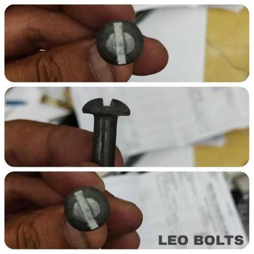 Leo Bolts Stainless Steel Slotted Screws, Certification : ISI Certified