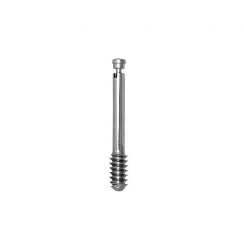 Polished Stainless Steel DHS/DCS Lag Screw, For Orthopaedic Surgery