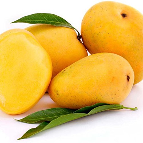 Light Yellow Organic Ratnagiri Hapoos Mango, For Direct Consumption, Business Purpose, Style : Fresh