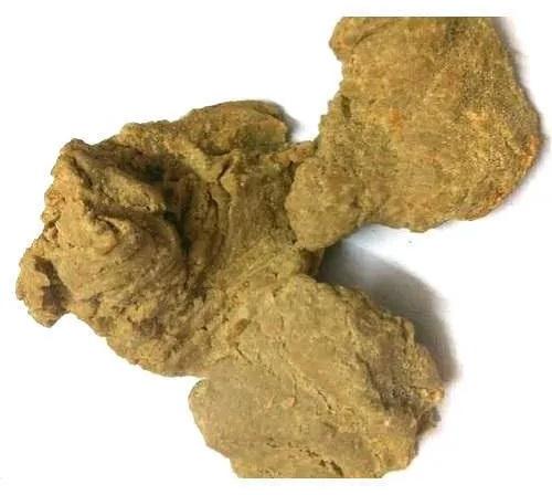 Galaxia Natural Moringa Seed Cake, Style : Fresh