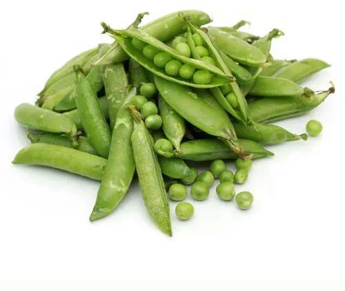 Natural Fresh Green Pea For Human Consumption, Cooking