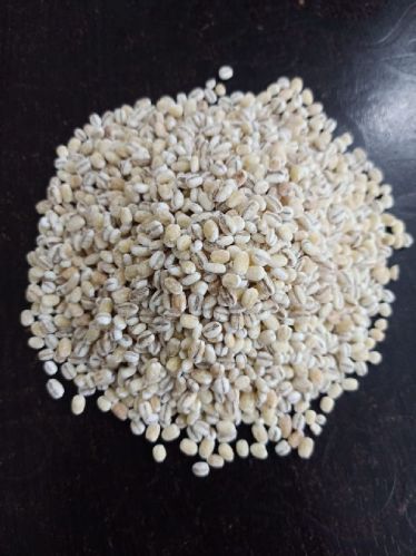 Natural PEELING PEARL BARLEY, Packaging Type : Plastic Bag, PP Bag