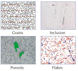 Image Analysis Software