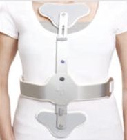 Fox Plain Ash Brace, Size : Universal