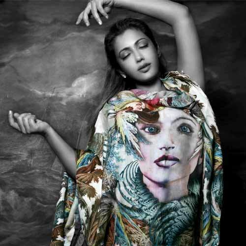 Digital Printed Pashmina Shawl, Technics : Handloom