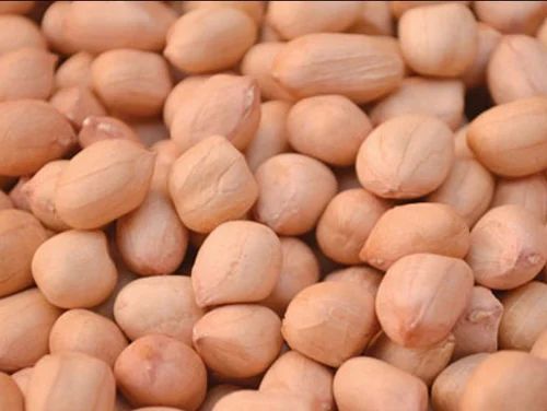 40/50 Java Peanut Kernels, For Butter, Cooking Use, Making Oil, Packaging Type : Vacuum Bag