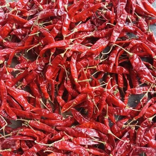 Sannam S4 Dried Red Chilli, For Cooking, Specialities : Good Quality